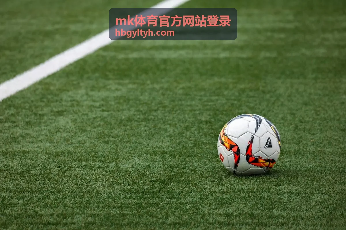 mk体育官方网站登录 账号登录与安全设置封面