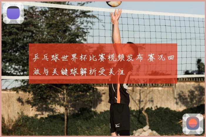 乒乓球世界杯比赛视频发布 赛况回放与关键球解析受关注