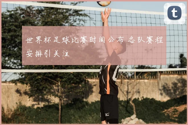 世界杯足球比赛时间公布 各队赛程安排引关注