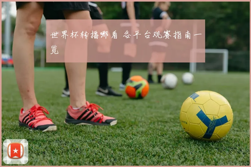 世界杯转播哪看 各平台观赛指南一览