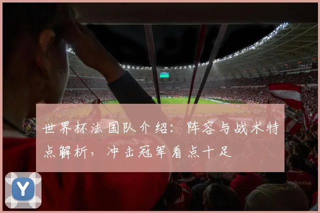 世界杯法国队介绍：阵容与战术特点解析，冲击冠军看点十足