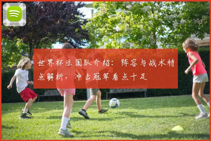 世界杯法国队介绍：阵容与战术特点解析，冲击冠军看点十足