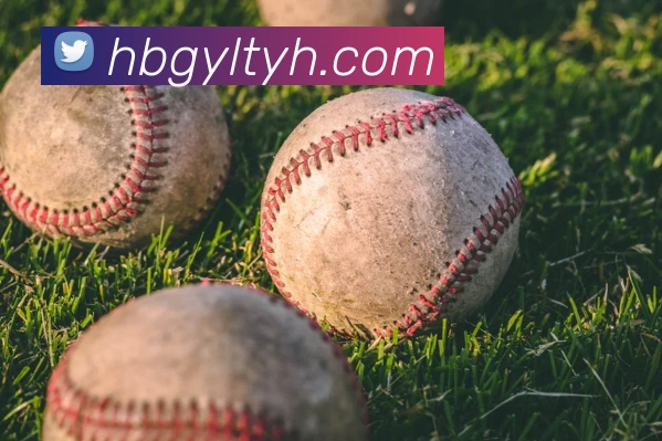 米兰体育网页官网发展历程