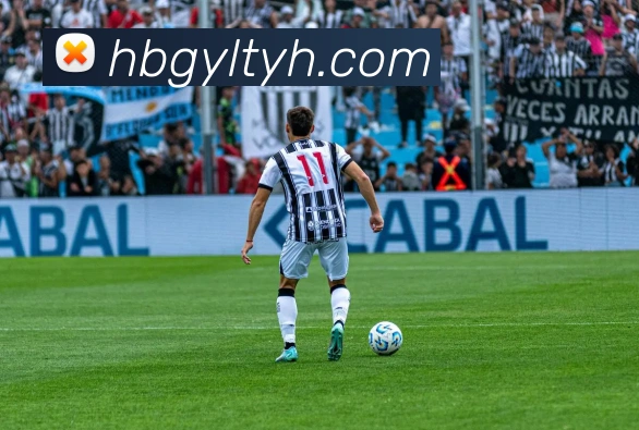 辅助工具 辅助工具